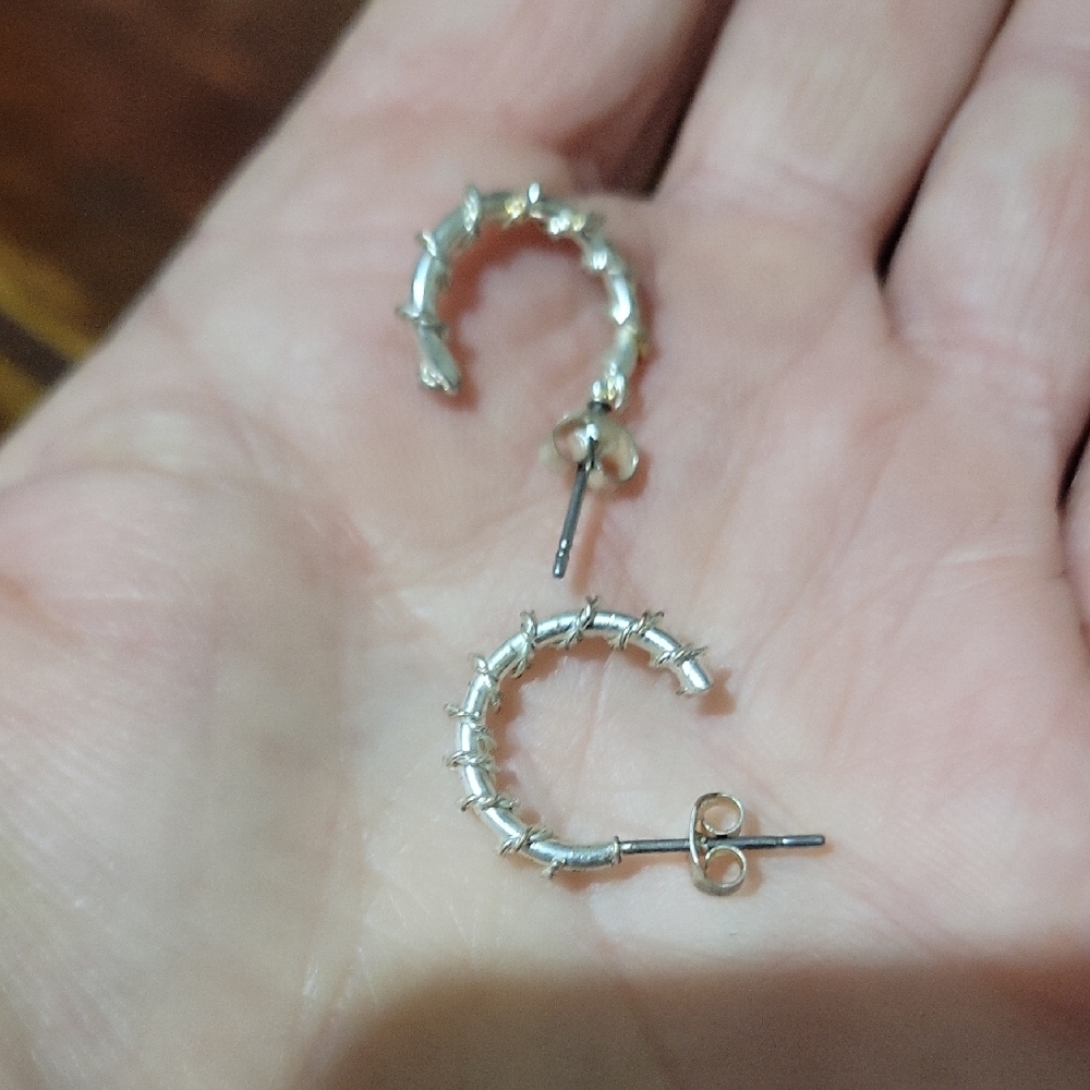 Small Silver Hoop Earrings